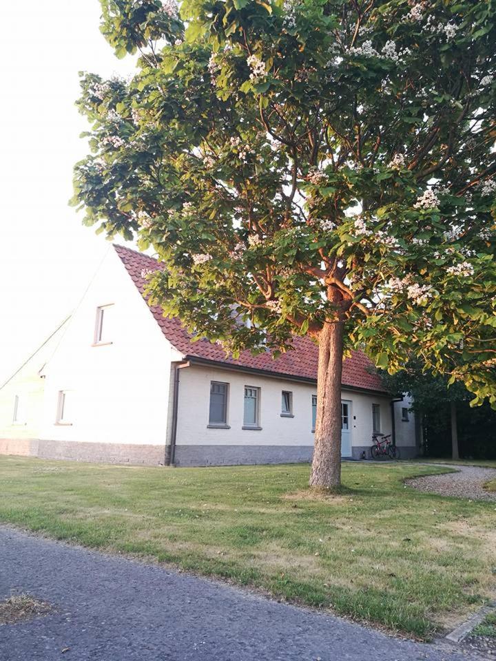 B&B De Pethaan photo 3