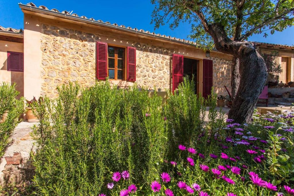 Beautiful House Ca Madò Maria with views of Bunyola photo 2