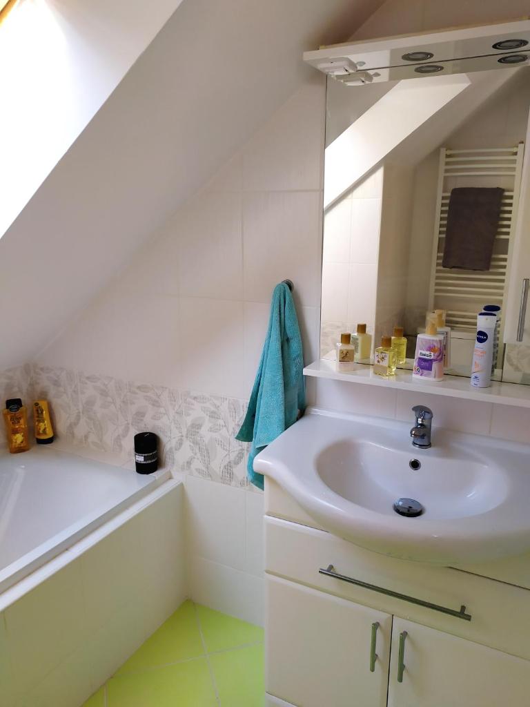 Podkrovní apartmán v přírodě, vhodný k relaxaci i na služební cesty photo 3