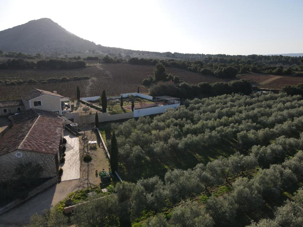 Domaine de Villemus photo 2