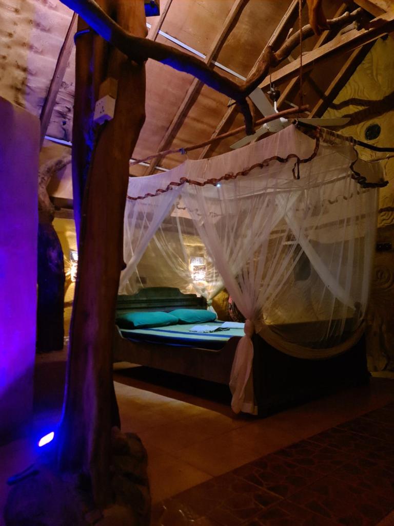 Humbhaha jungle nature eco resort photo 4