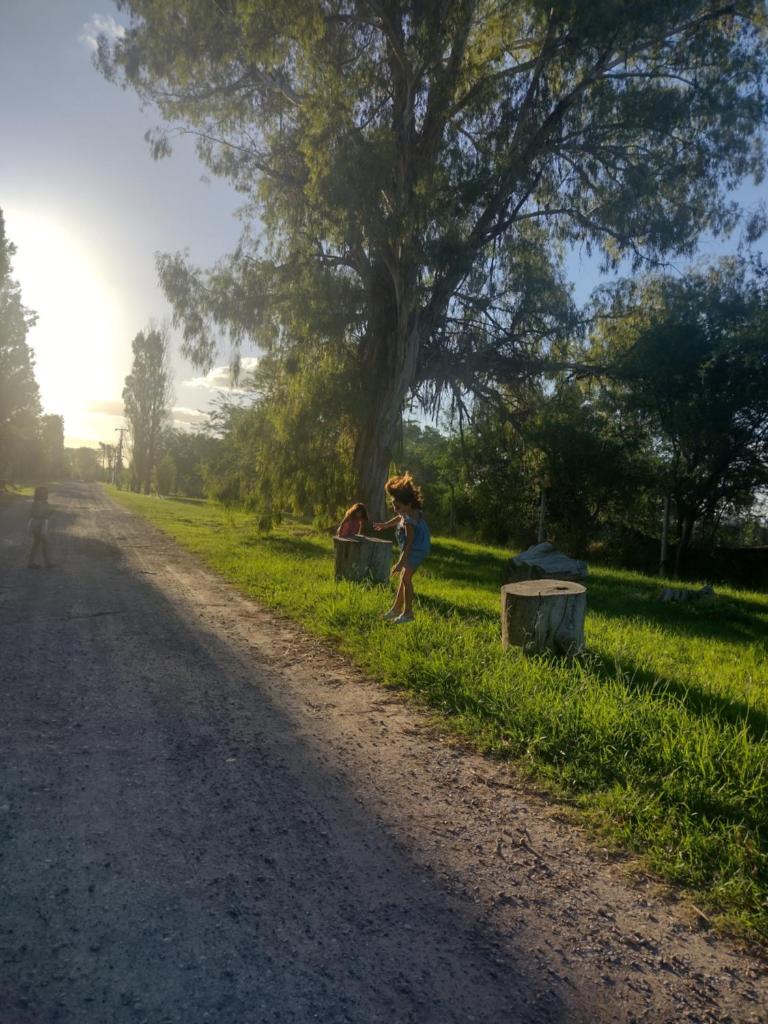 La irupe photo 2