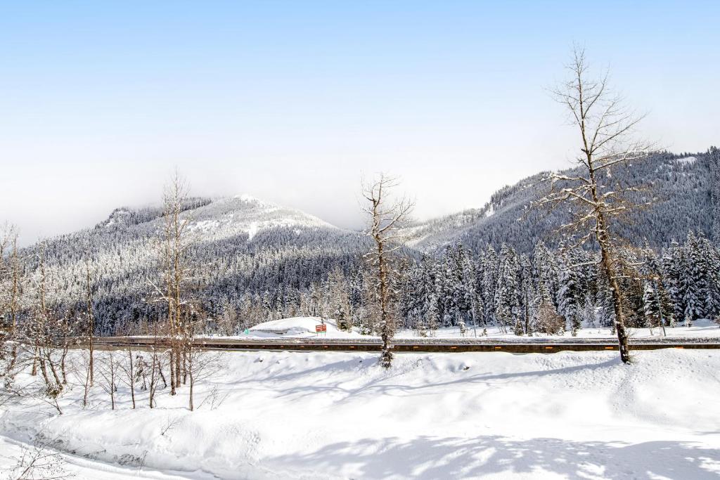 Summit Chalet photo 1