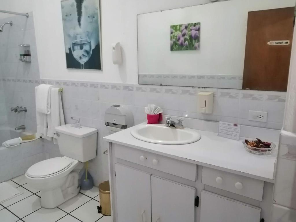Novohostal B&B photo 2
