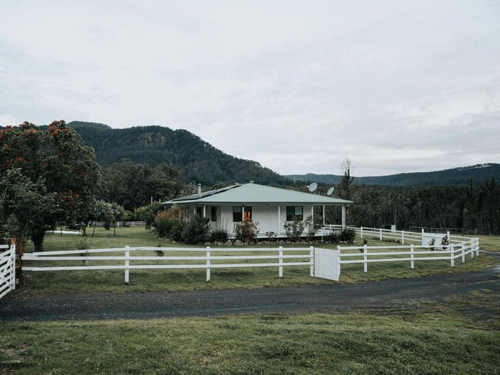 The Hamilton Kangaroo Valley