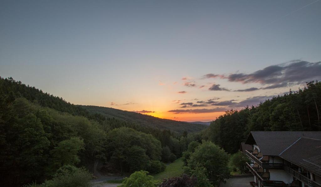 Wald-Hotel Heppe photo 4