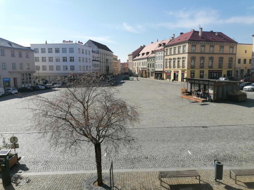 Hotel Morava photo 3