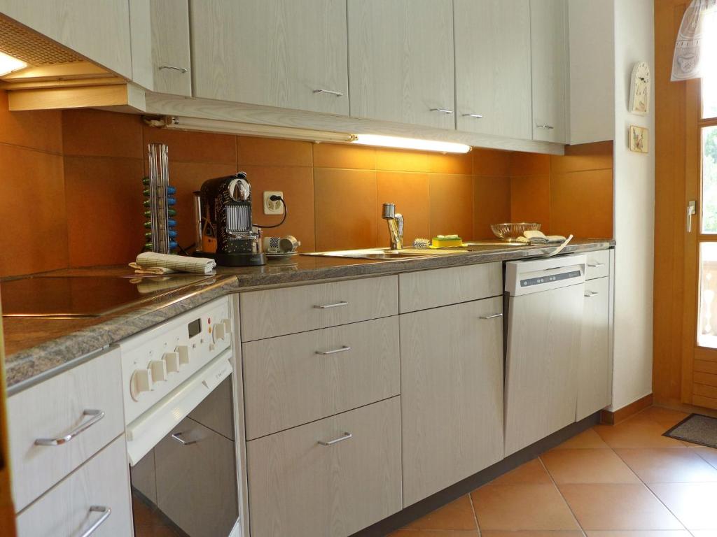 Apartment Casa La Planüra by Interhome photo 3