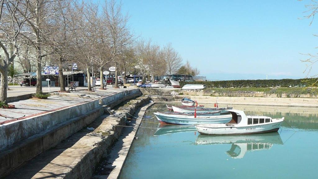 Ali's Pension photo 4