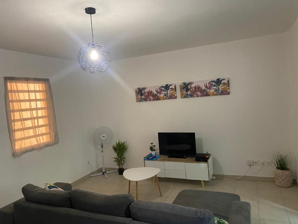 Joli appartement rénové à neuf photo 4