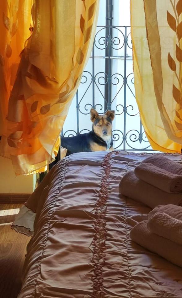 La casetta della nonna photo 3