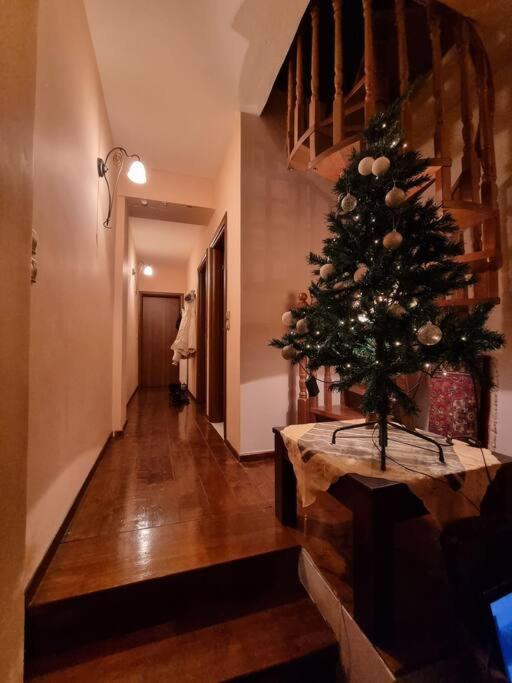 Alatopetra House photo 1