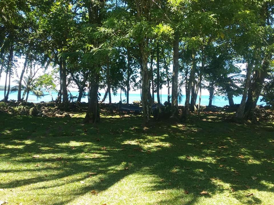 Cahuita Inn photo 3