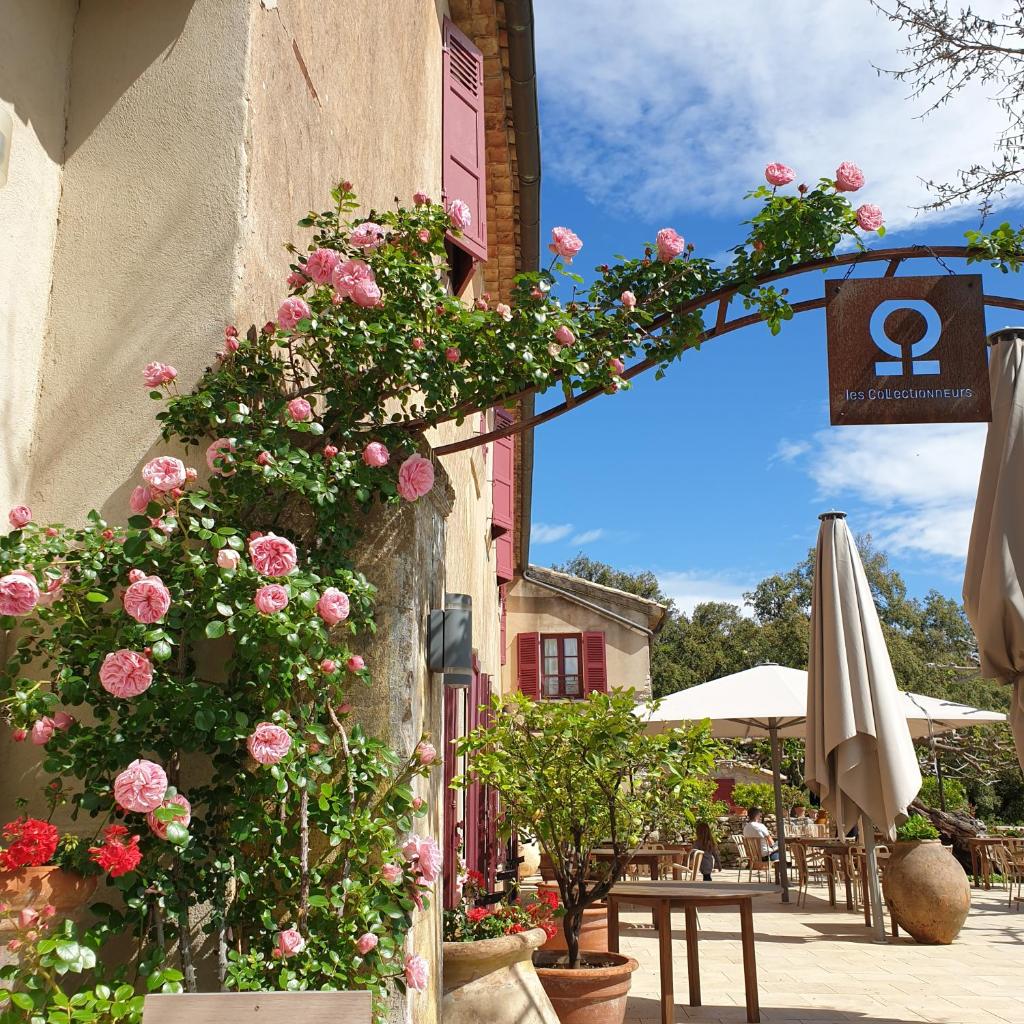 Domaine du Lac - Teritoria photo 1