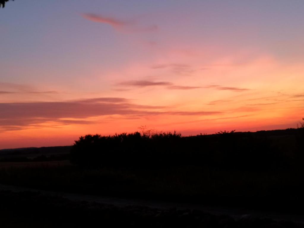 Bøgehus photo 2