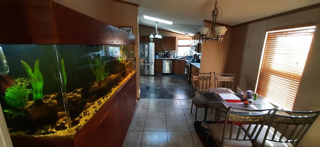 Private Pet Friendly Home Near Exotic Deer Farm Close to Pigeon Forge, Gatlinburg TN image