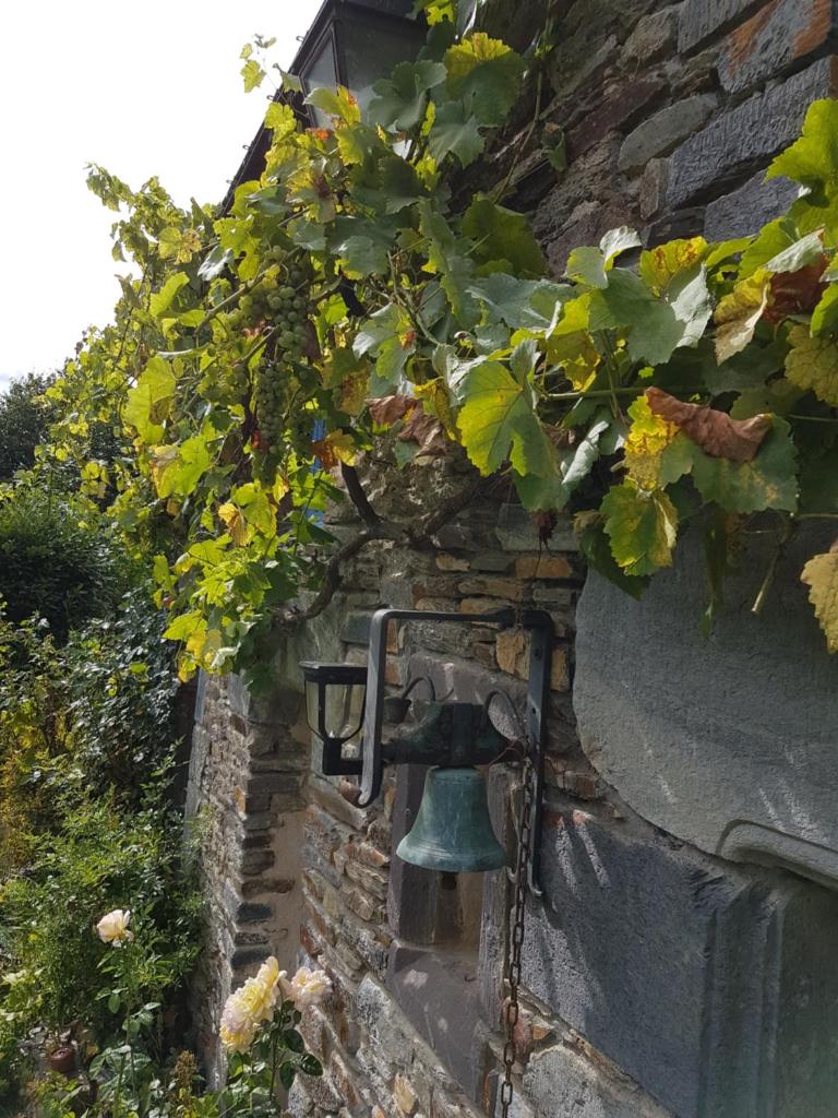 Le clos du Tay photo 1