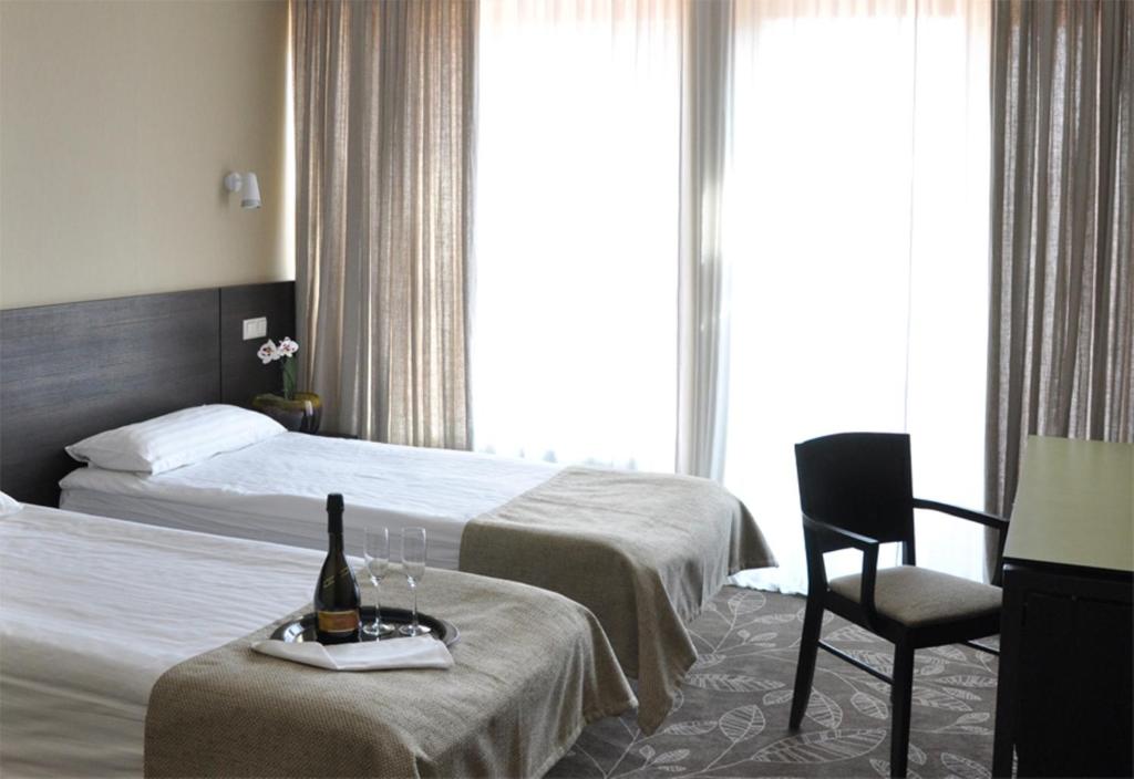 Двухместный (Двухместный номер с 2 отдельными кроватями), Hotel Babilonas