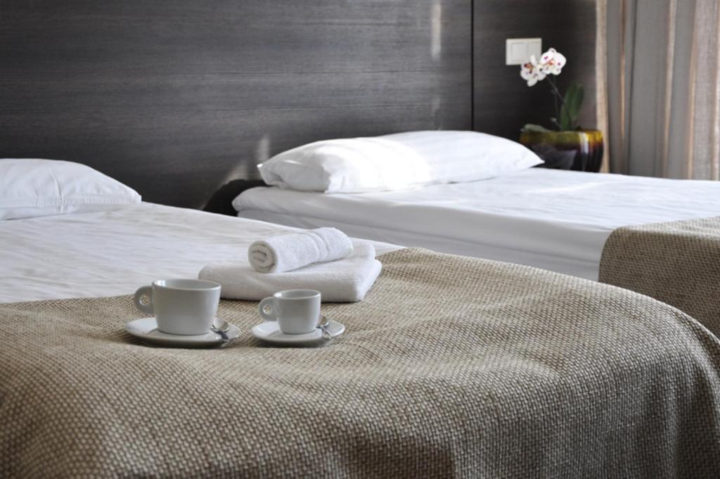 Двухместный (Двухместный номер с 2 отдельными кроватями), Hotel Babilonas