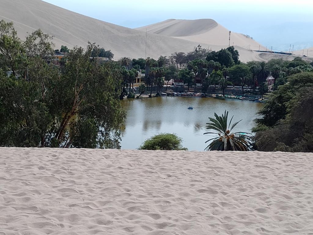 Hotel Duna Sur photo 1