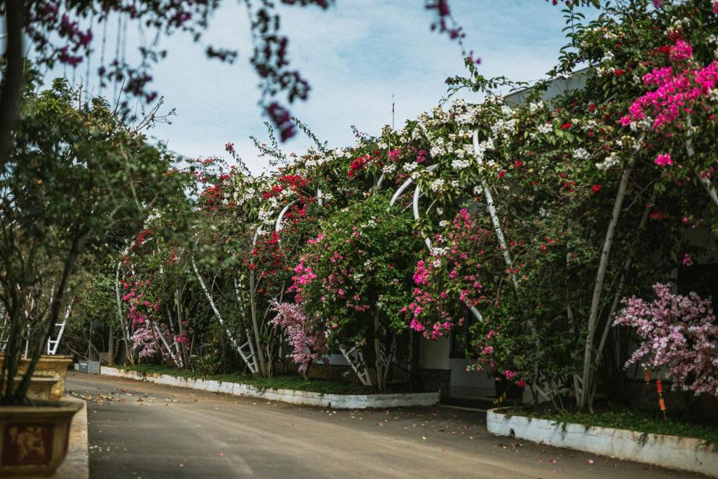 Nhat Quang Hotel