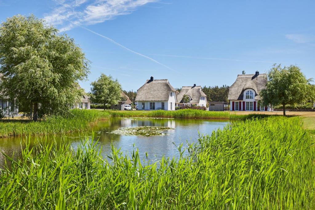 Ferienhaus Seeschwalbe 60 photo 4