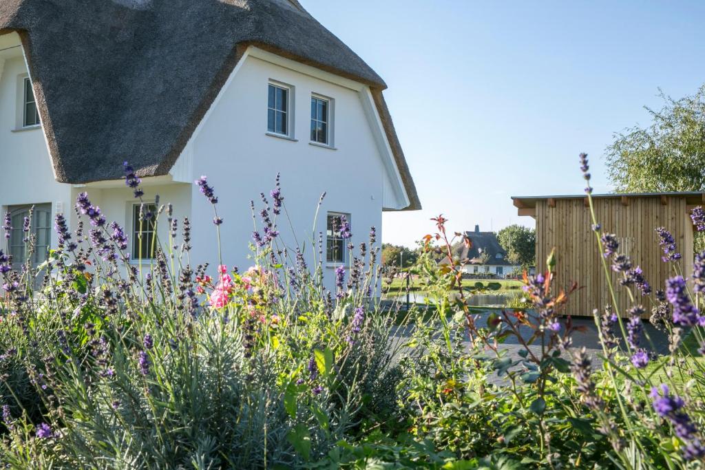 Ferienhaus Seeschwalbe 60 photo 2