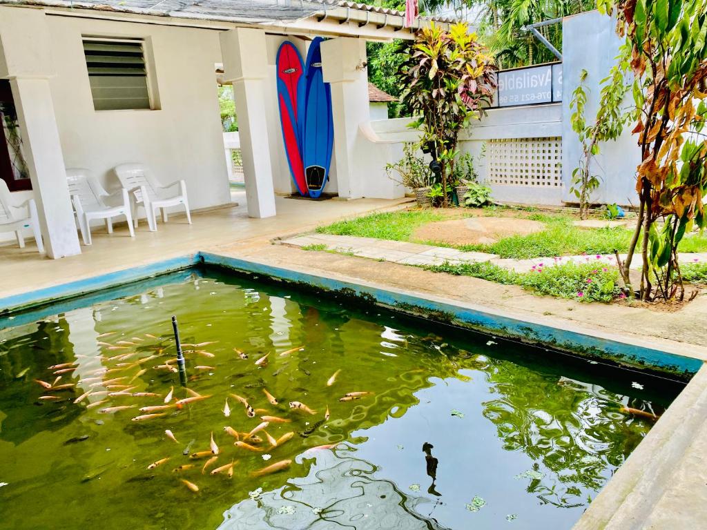 Hiriketiya Orchid Villa photo 2