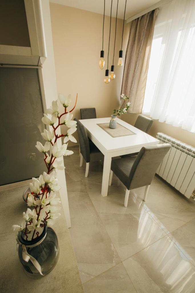 Apartman Lazaro Cacak photo 2