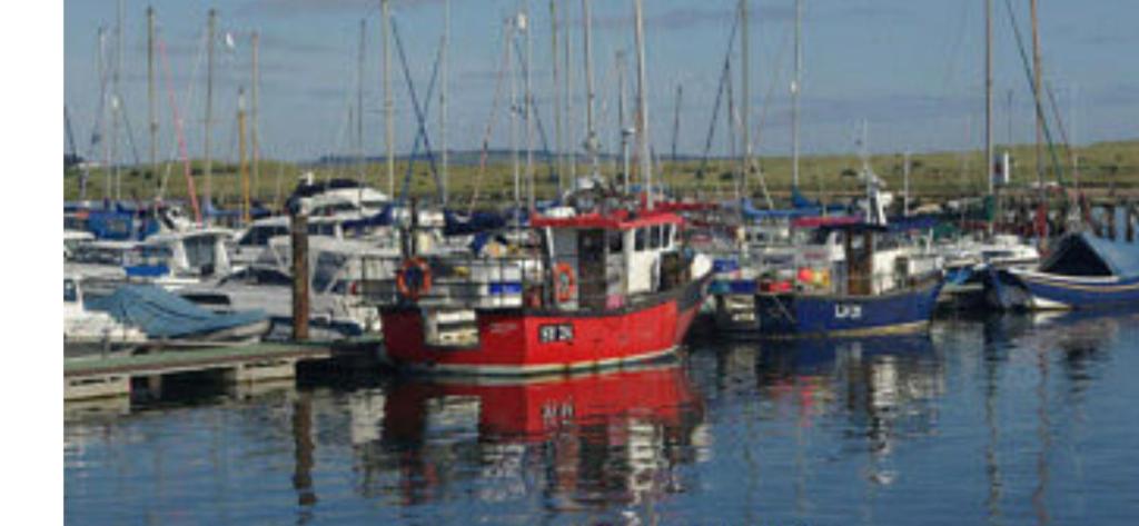 Amble Holiday Home photo 1