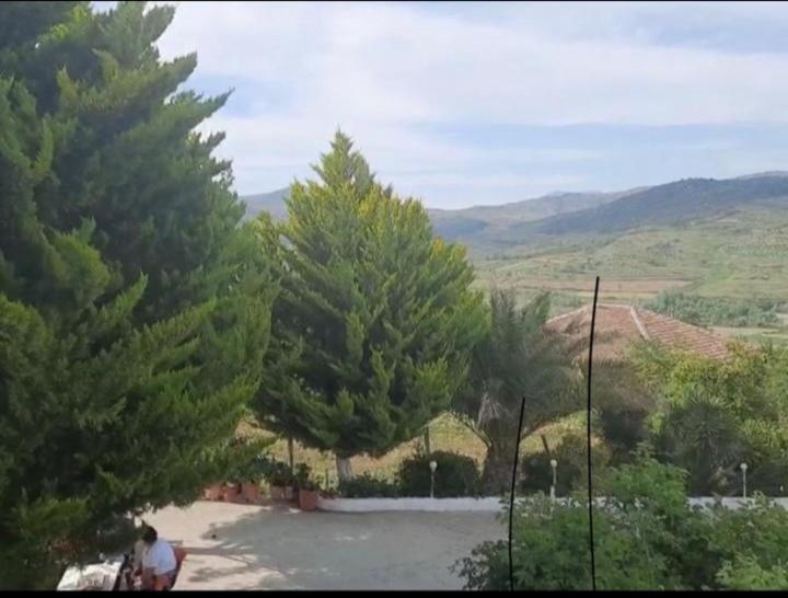 Villa Mukaj photo 2