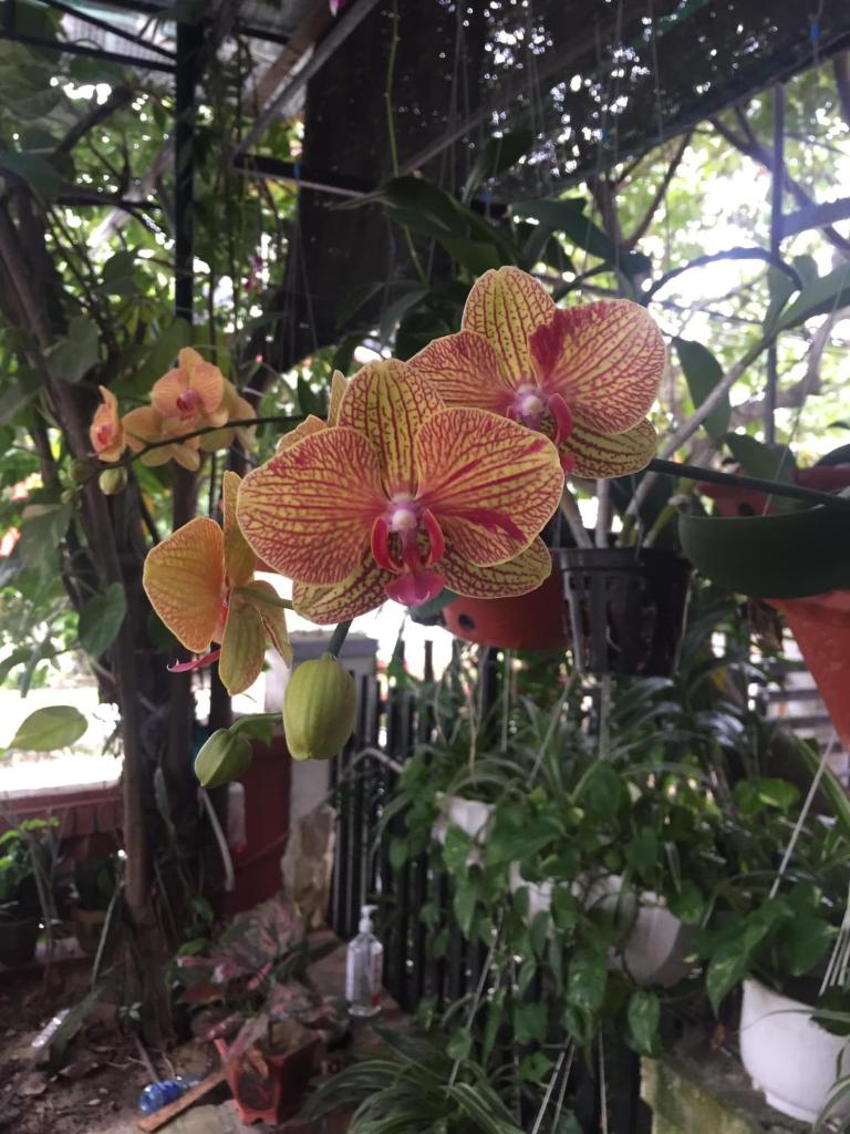 New Destination Hoi An