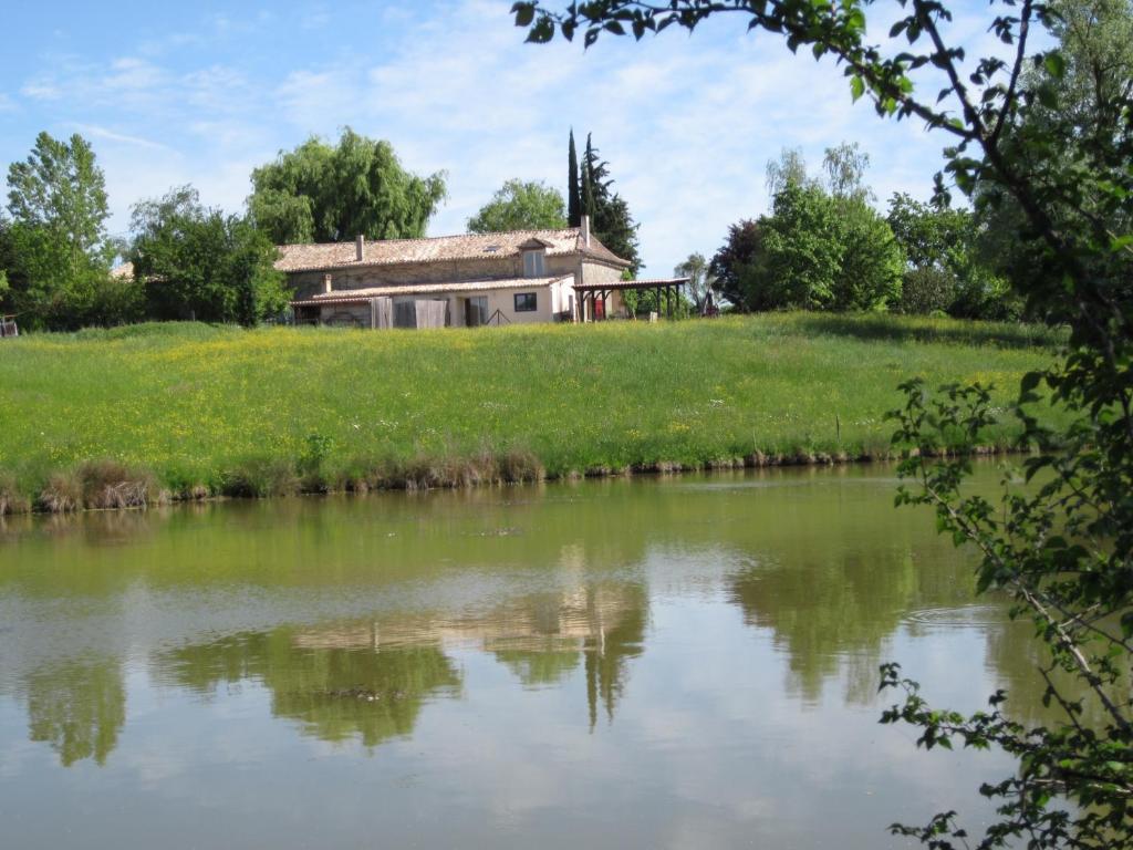 L'âne Vert photo 1