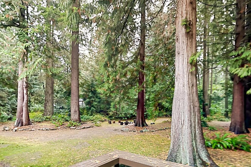 Woodinville Escape photo 4