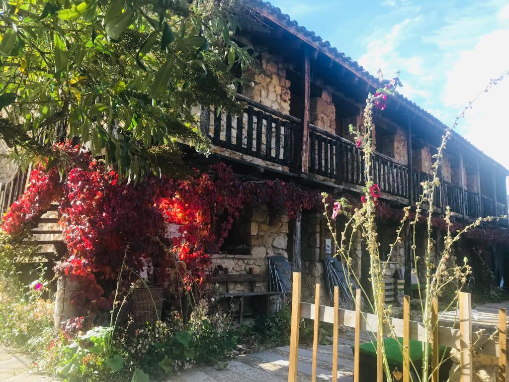 Casas Rurales Chon Alto Tajo photo 2