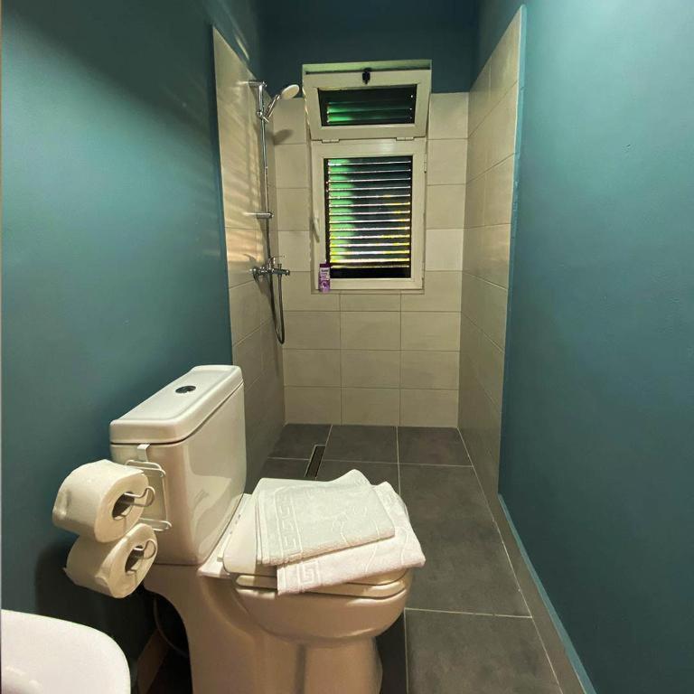 Agroturizem Hotel Vila Franceze photo 3