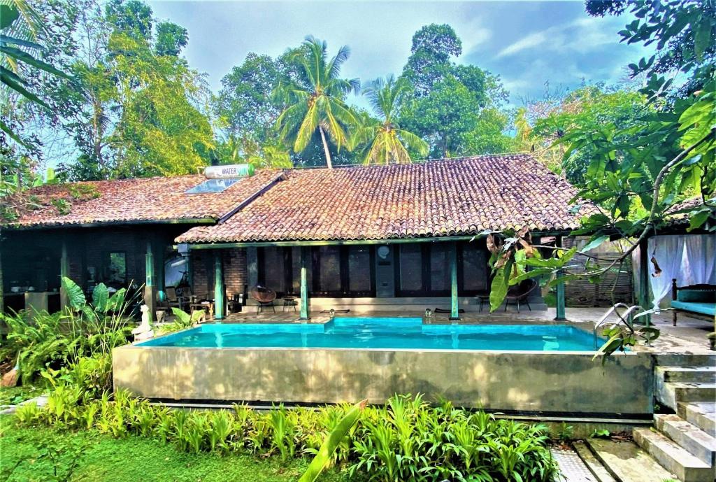Bougain Villa