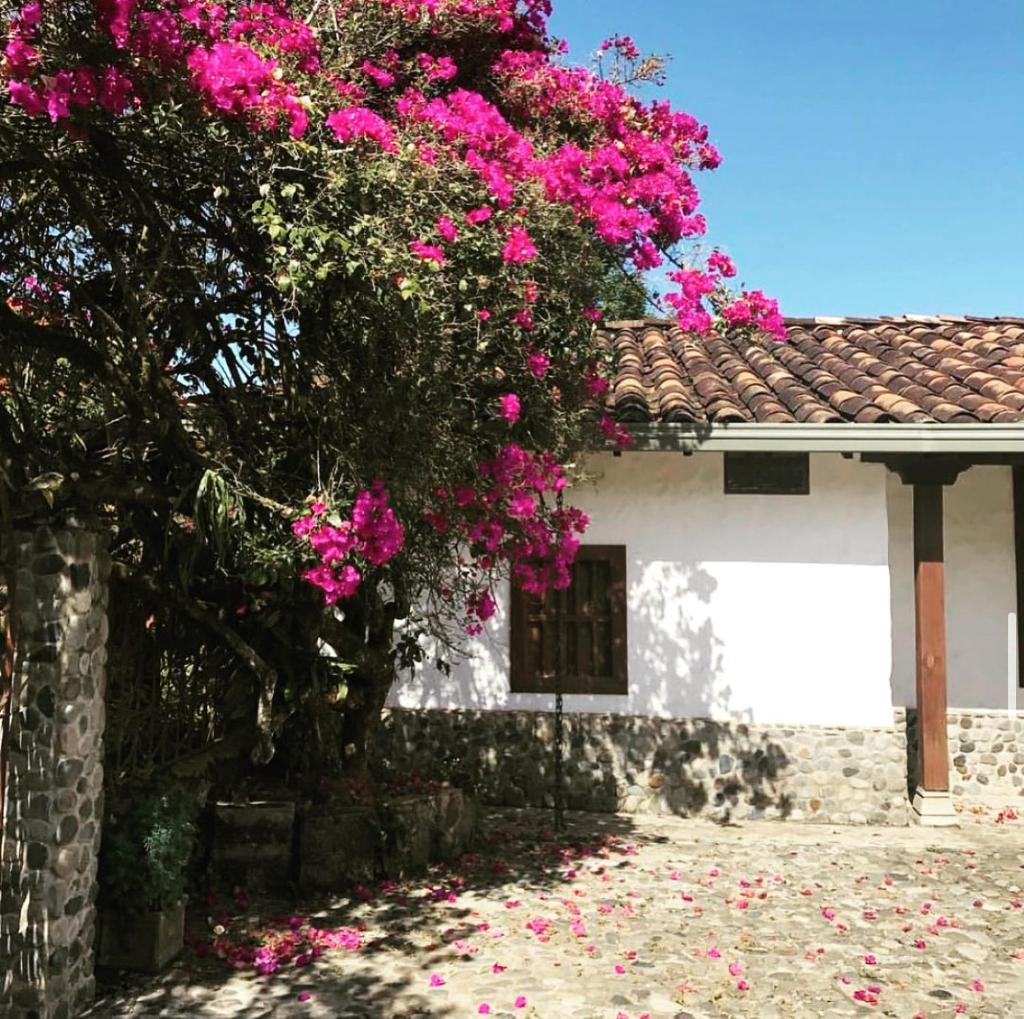 Casa Santamaria Hotel Campestre photo 1