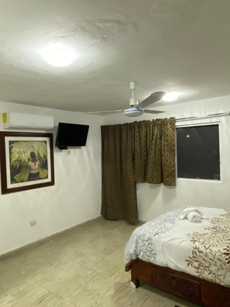 Casa Liz photo 4