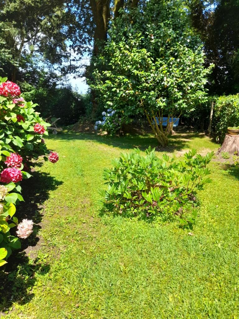 La Clairière du Seignanx photo 2