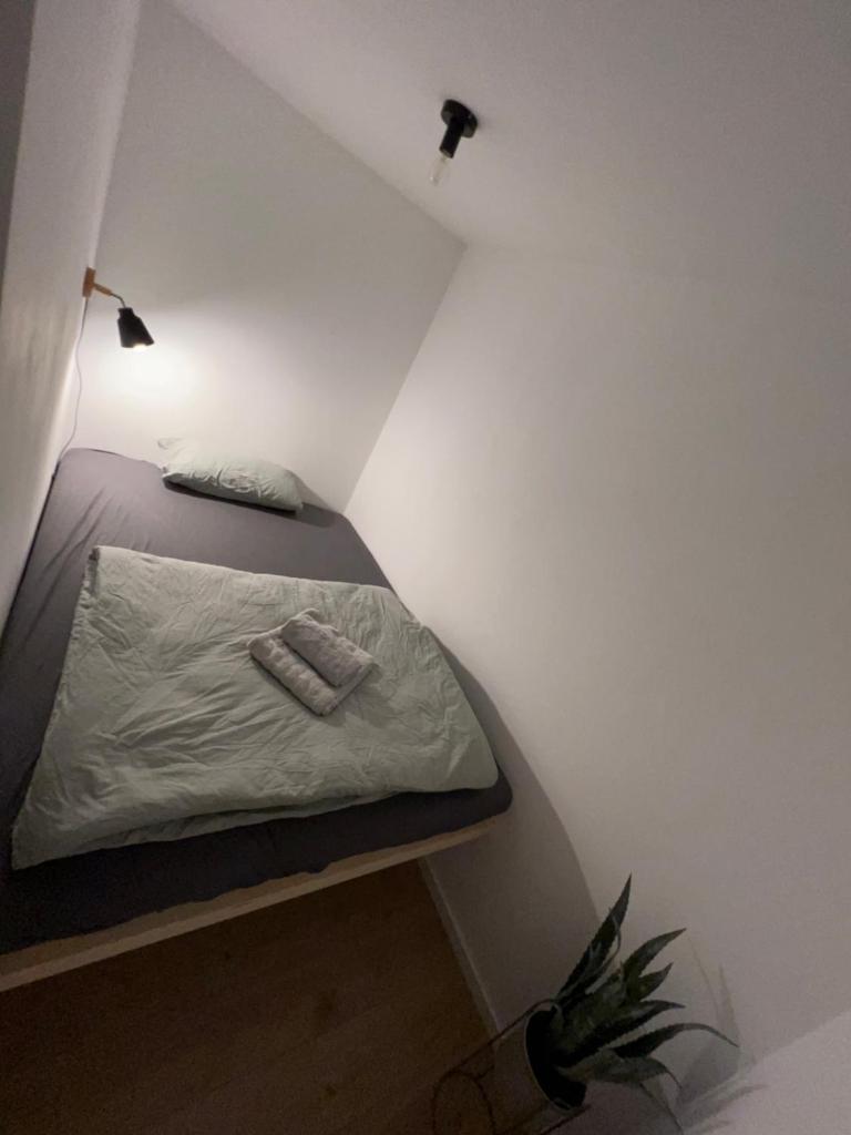 Ferienwohnung Kurpark Brilon am Rothaarsteig photo 4