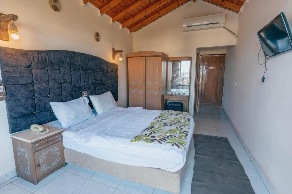 Ganet Sinai Resort photo 4