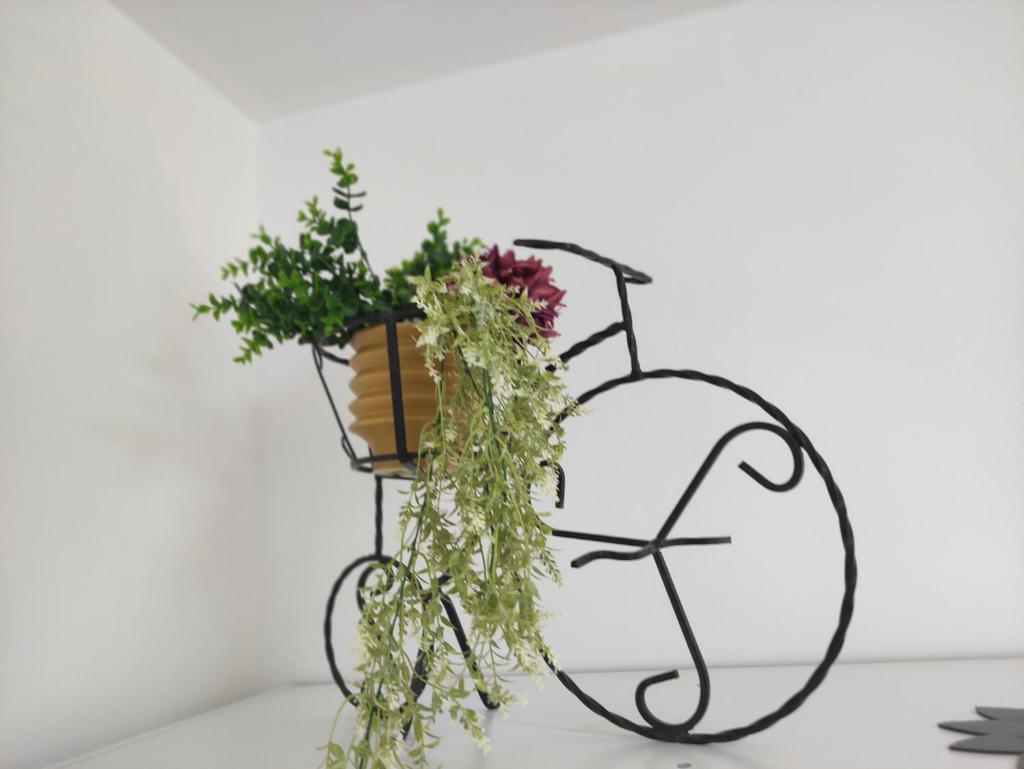 Apartman Iris s terasom photo 3