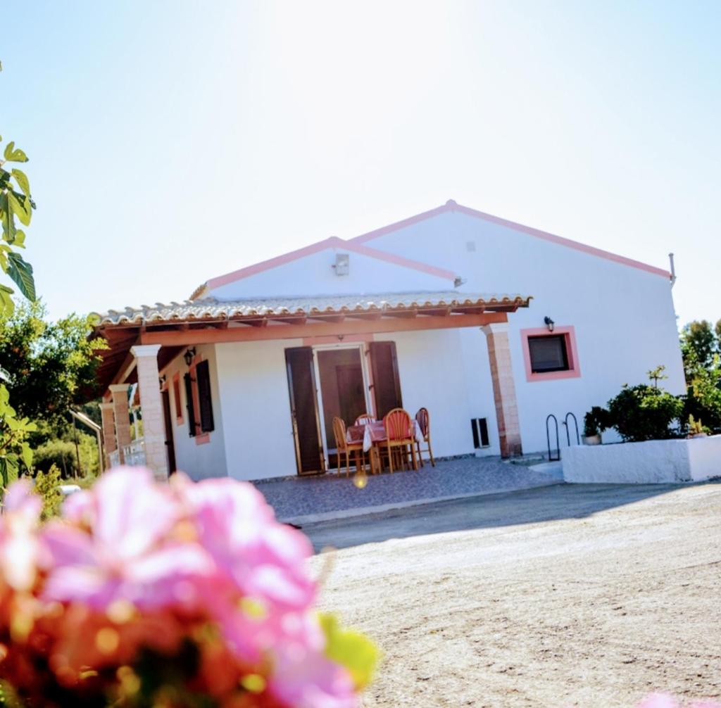 Villa Vicky Corfu photo 2