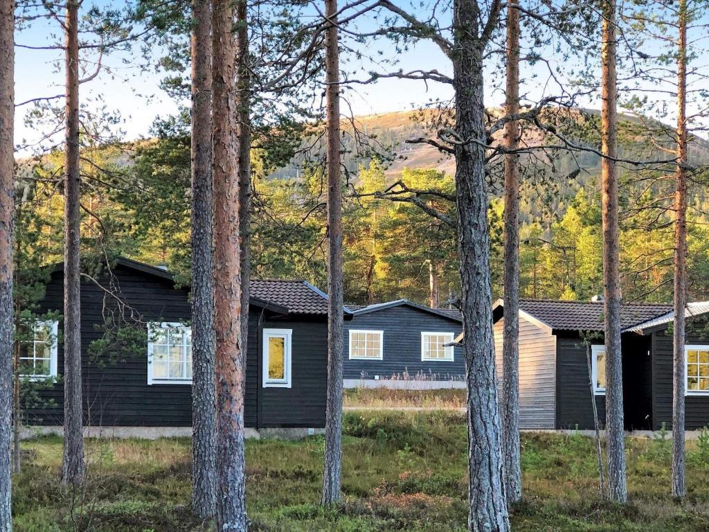 Holiday home SÄLEN XXVII photo 1