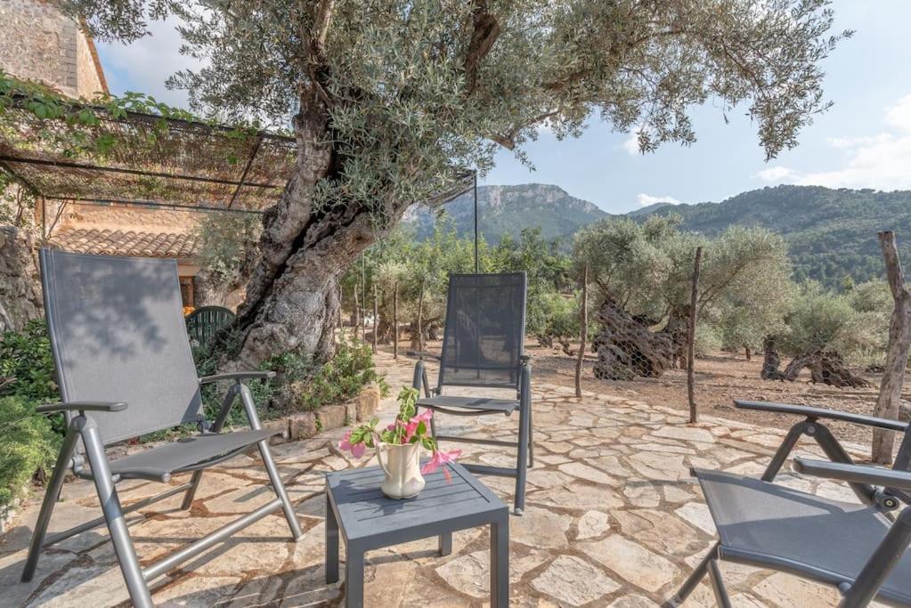 Deià semi-detached sunny country house, near GR221 photo 2