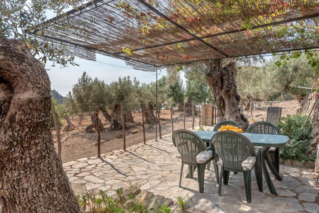 Deià semi-detached sunny country house, near GR221 photo 4