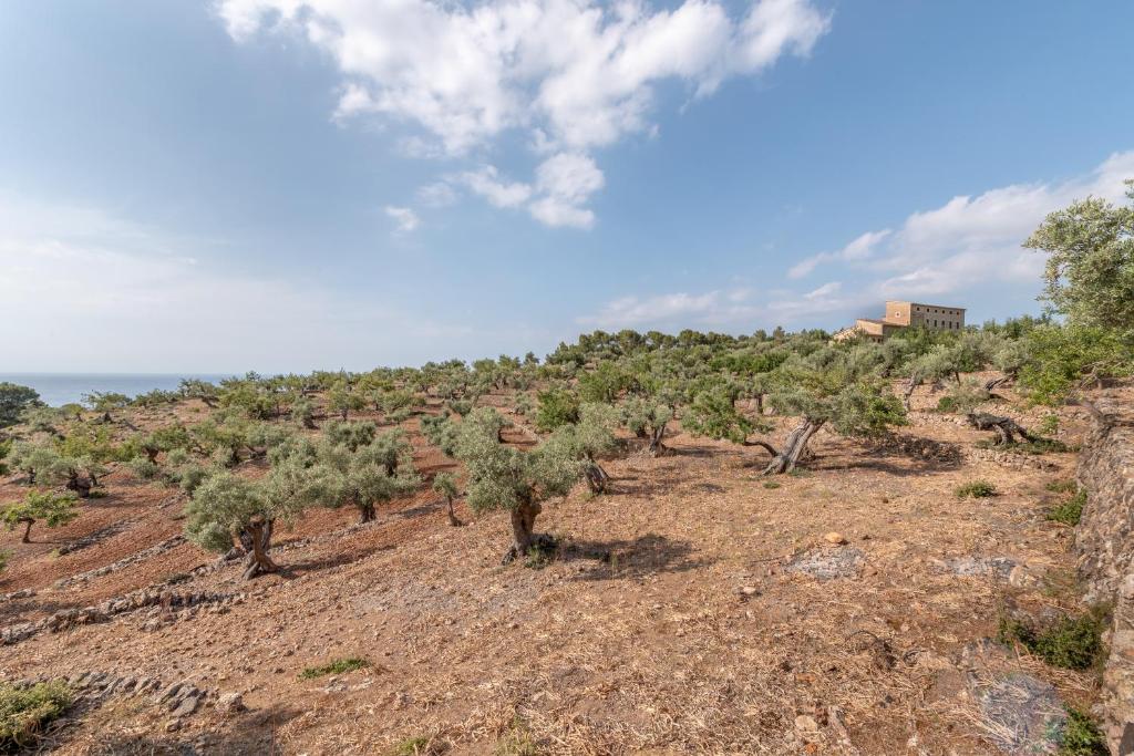 Deià semi-detached sunny country house, near GR221 photo 3