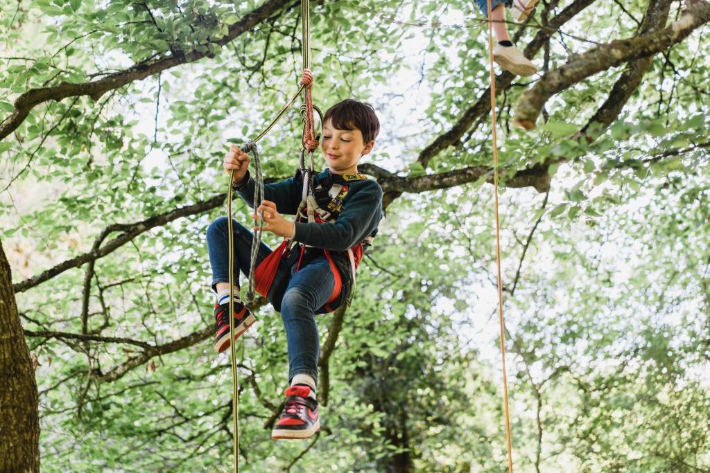 Cocoon Village - Glamping - Domaine des Grottes de Han photo 4