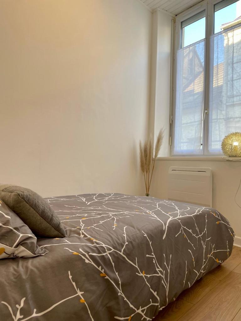Joli appartement au coeur de ville photo 2
